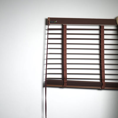 Motorized Window Curtain Blinds